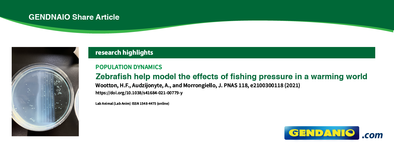 Zebrafish help model